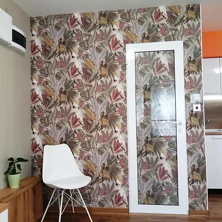 Apartman студио 55 Rusze